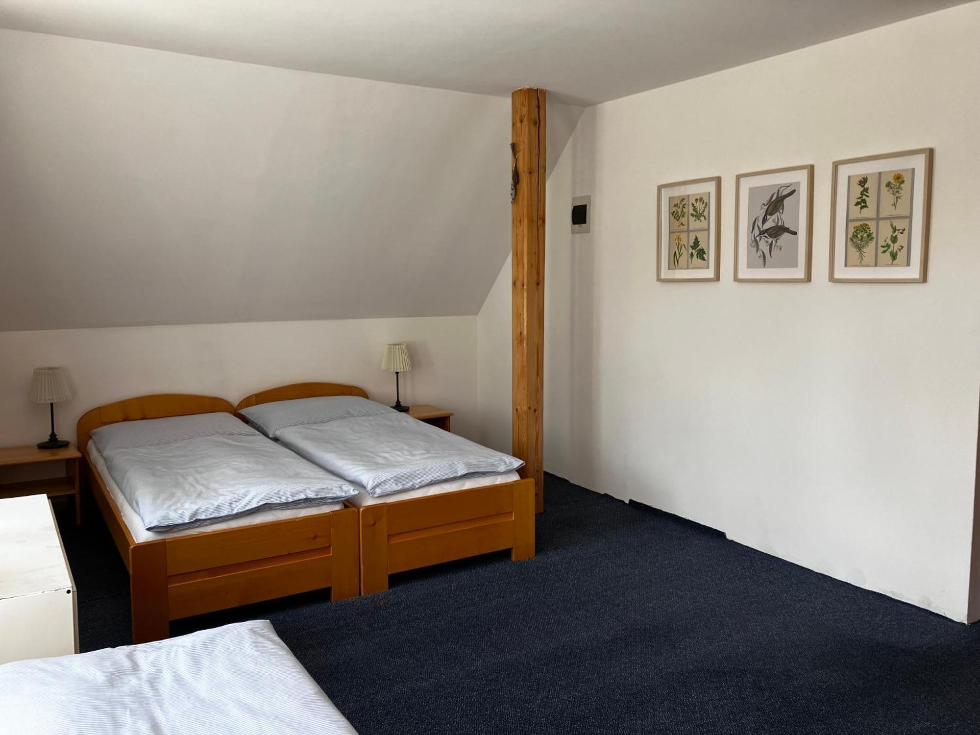 Penzion Hají Janov nad Nisou Zimmer foto